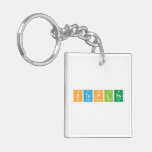 Staples  Acrylic Keychains