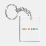 Success is elemental  Acrylic Keychains
