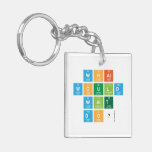 What
 would
 Walt
 Do?  Acrylic Keychains