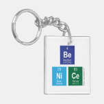 Be
 NiCe  Acrylic Keychains