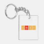 chess  Acrylic Keychains