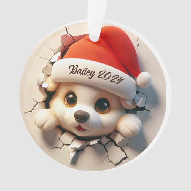 Acrylic Ornament (Front)