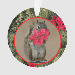 Acrylic Ornament, Acrylic Circle Ornament