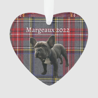 Acrylic Ornament family pet 