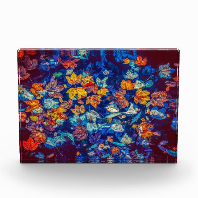 Acrylic Photo Blocks Customize or Buy Today Award  (Front)