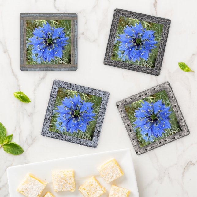 Acrylic Photo Coaster Set with Blue Love-in-a-Mist (In Situ)