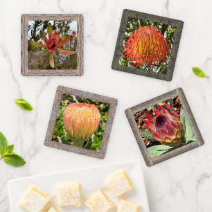 Acrylic Photo Coaster Set with Gorgeous Protea
