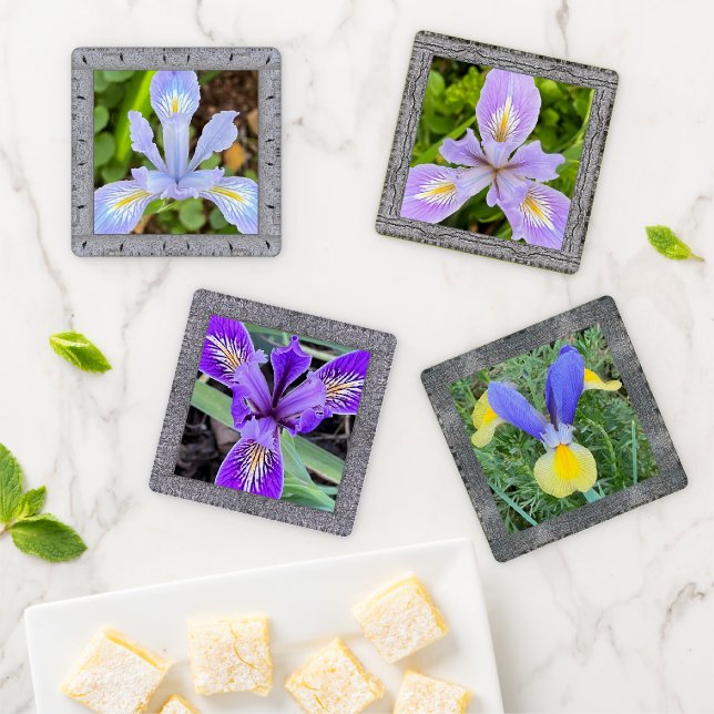 Acrylic Photo Coaster Set with Spring Irises 2 (In Situ)