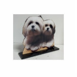 Acrylic Photo Sculpture Cut Out Stand up Display<br><div class="desc">Design your own by uploading your favorite digital images or photo's to display in your home or office! Zazzle custom photo sculptures enable you to turn your favorite photo or portrait into a special keepsake, turn your photograph or digital photo into a 3-D photo sculpture, sometimes referred to as a...</div>