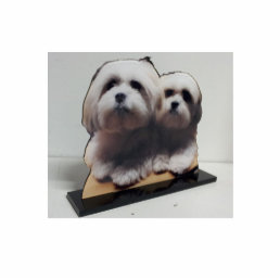 Acrylic Photo Sculpture Cut Out Stand up Display