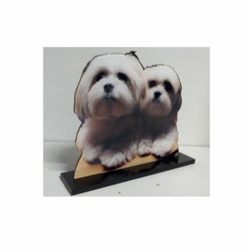 Acrylic Photo Sculpture Cut Out Stand up Display