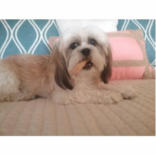 Acrylic Photo sculpture keepsake