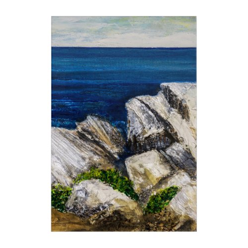 Acrylic Print - On The Rocks
