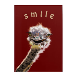 Acrylic Print with Fynny Ostrich