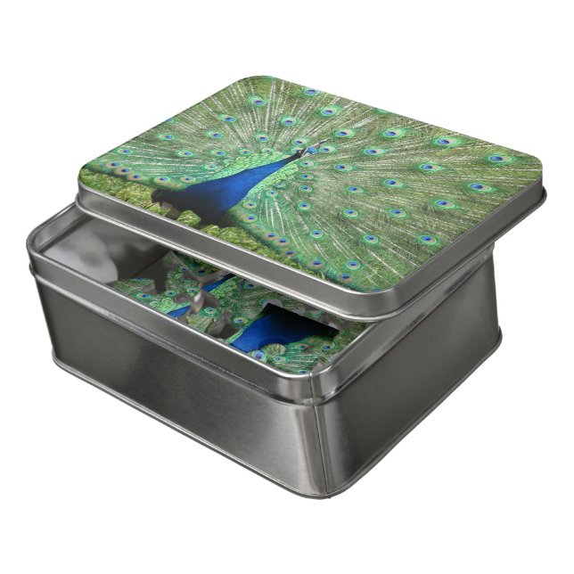 Acrylic Puzzle - Proud Peacock (Lid Open)