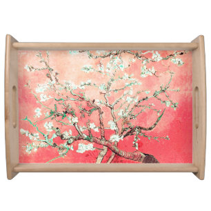 Acrylic Tray