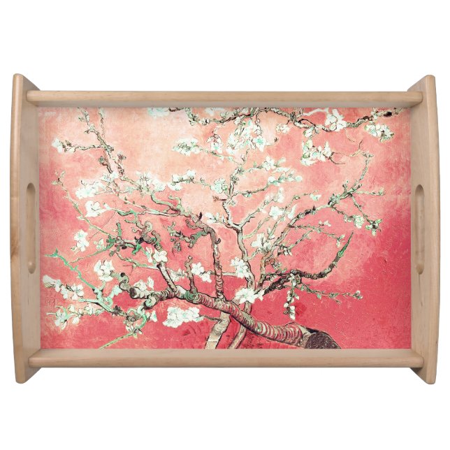 Acrylic Tray (Front)