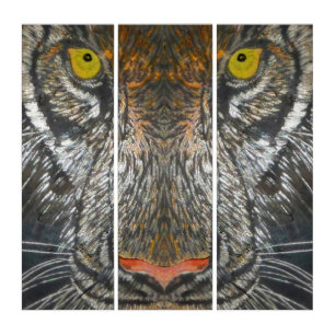 Acrylic Triptych - Eyes of the Tiger