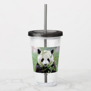 Acrylic tumbler. Photo giant panda , panda geant. Acrylic Tumbler