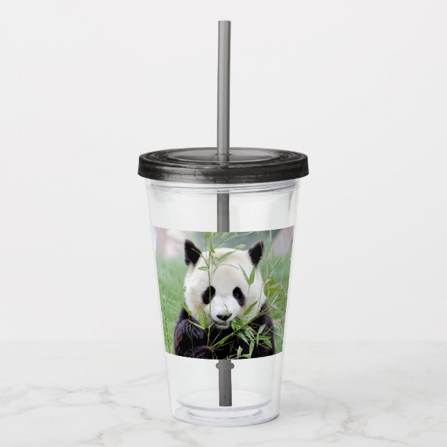 Acrylic tumbler. Photo giant panda , panda geant. Acrylic Tumbler (Front)