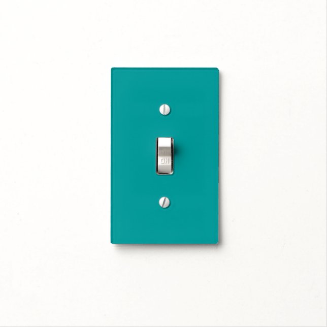 Acrylic Turn Ons Light Switch Cover Sea Teal (In Situ)