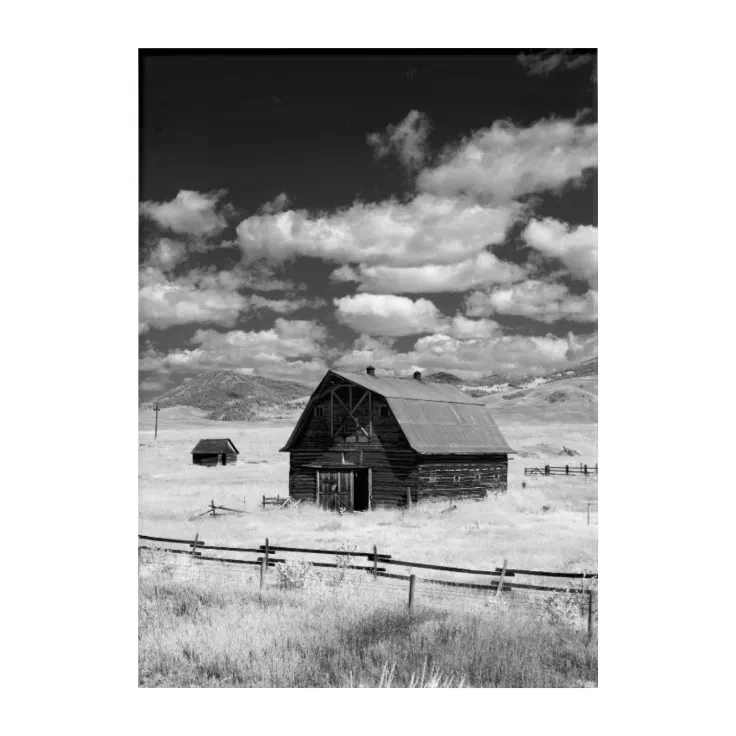 Acrylic wall art Zazzle