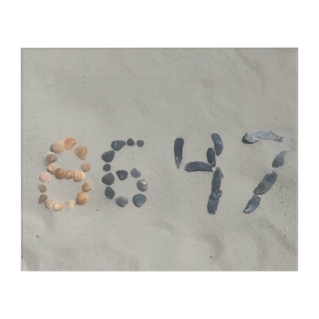 Acrylic Wall Art (Front)