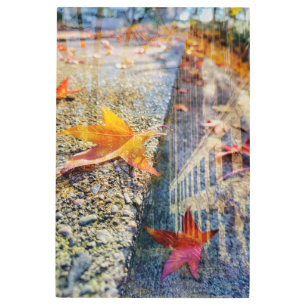 Acrylic Wall Art