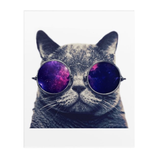 Acrylic Wall Art, 16" x 20" Acrylic Print (Front)