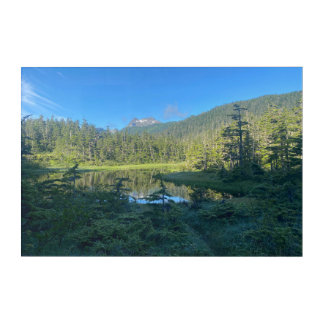 Acrylic Wall Art: Alaskan Summer Scenic Hike Print