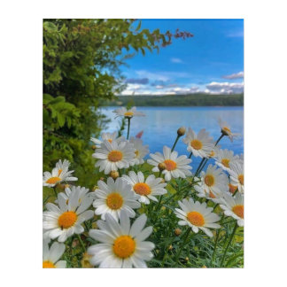 Acrylic Wall Art: Beautif your Wall 🌻☀️ Print