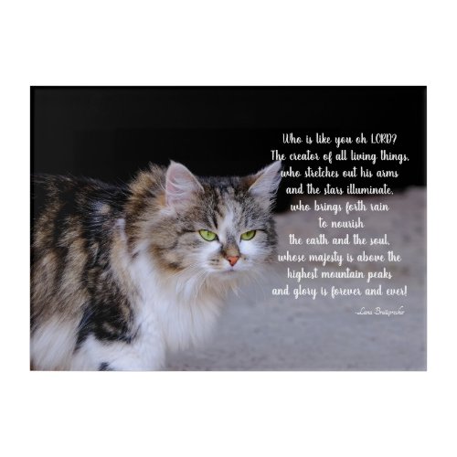 Acrylic Wall Art_CAT_Who is Like You Our LORD Acrylic Print