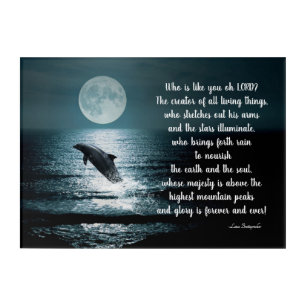 Acrylic Wall Art-Dolphin-Who is Like You Our LORD Acrylic Print
