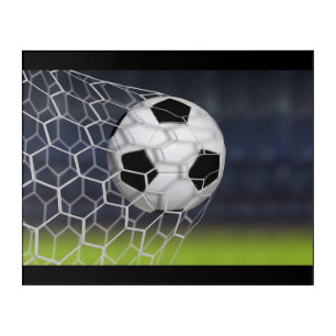 Acrylic Wall Art-Soccer Ball Acrylic Print