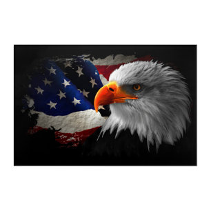 Acrylic Wall Art The American Eagle