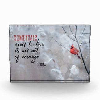 Act of Courage Photo Block