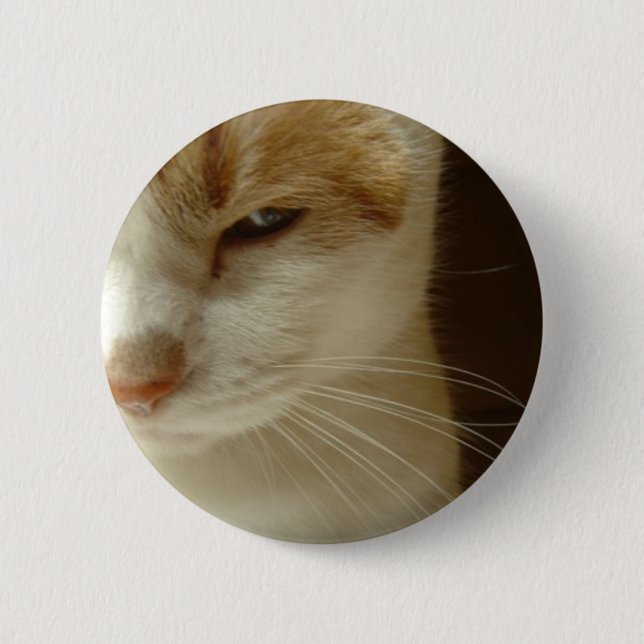 acting cat pinback button (Front)
