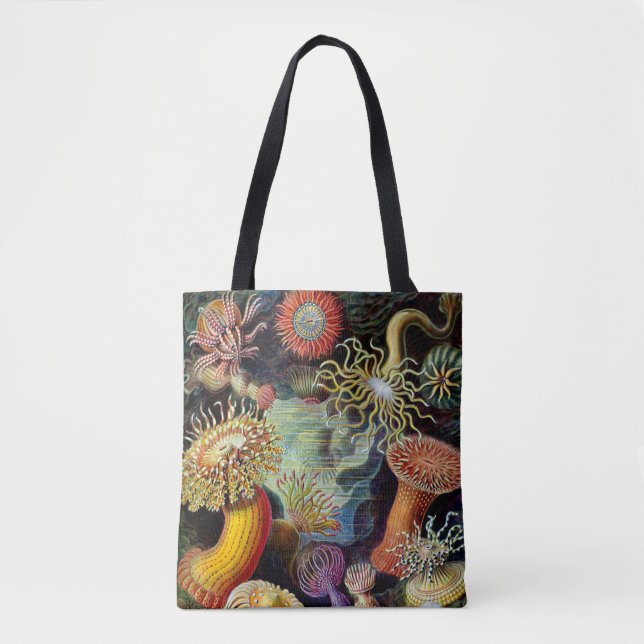 Actiniae by Ernst Haecke Tote Bag (Front)