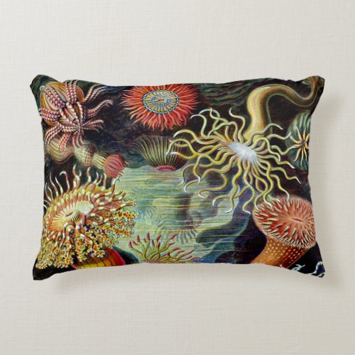 Actiniae by Ernst Haeckel  Accent Pillow