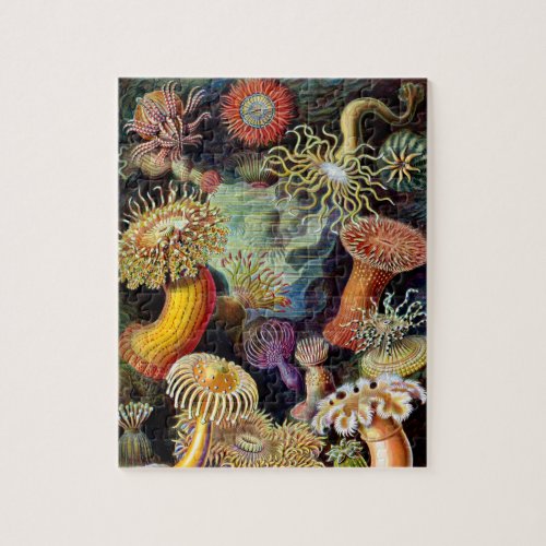 Actiniae by Ernst Haeckel Jigsaw Puzzle