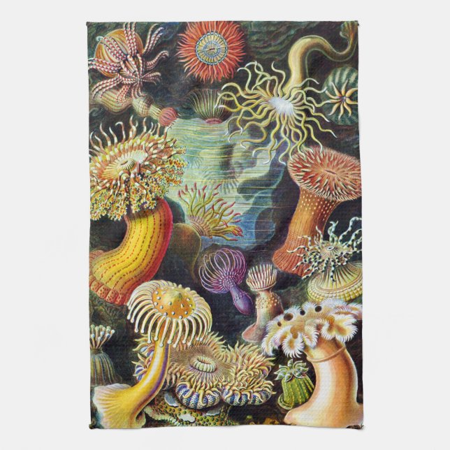 Actiniae by Ernst Haeckel Kitchen Towel (Vertical)
