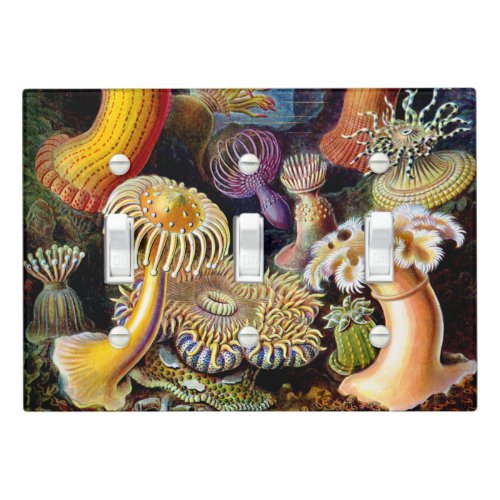 Actiniae by Ernst Haeckel Light Switch Cover