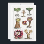 Actiniae vintage, science, ernst haeckel, biology invitation<br><div class="desc">Different kinds of Actiniae, or Animal Flowers from A history of the earth and animated nature (1820) by Oliver Goldsmith vintage, science, ernst haeckel, biology, nature, haeckel, ocean, actiniae, marine, kunstformen der natur, sea anemone, marine biology, sea, anemones, naturalist, sea creatures, jellyfish, animals, aquarium, colorful, animal, anatomy, underwater, sea life,...</div>