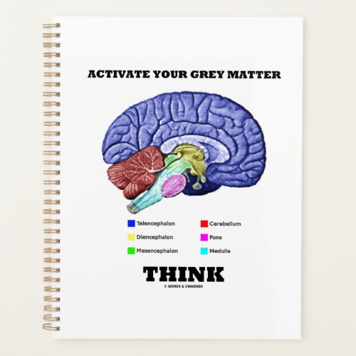 Activate Your Gray Matter Think Anatomical Brain Planner