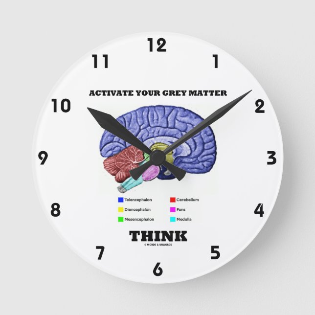 Activate Your Gray Matter Think (Anatomical Brain) Round Clock (Front)