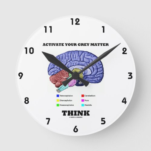 Activate Your Gray Matter Think Anatomical Brain Round Clock