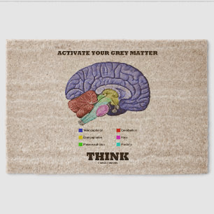 Activate Your Grey Matter Think Anatomical Brain Fiber Doormat