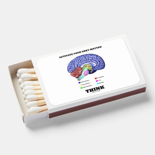 Activate Your Grey Matter Think Anatomical Brain Matchboxes