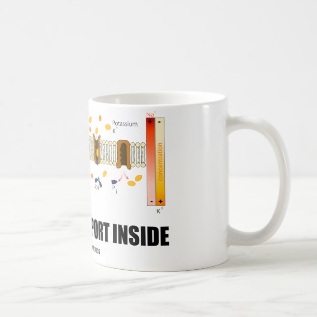 Active Transport Inside (Sodium-Potassium Pump) Coffee Mug (Right)
