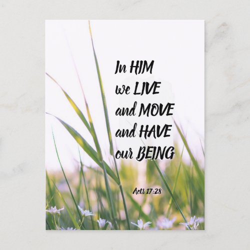 Acts 1728 In Him we Live and Move Bible Verse Postcard